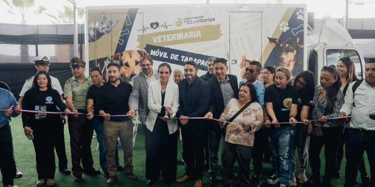 Clínica veterinaria móvil recorrerá el borde costero de Iquique
