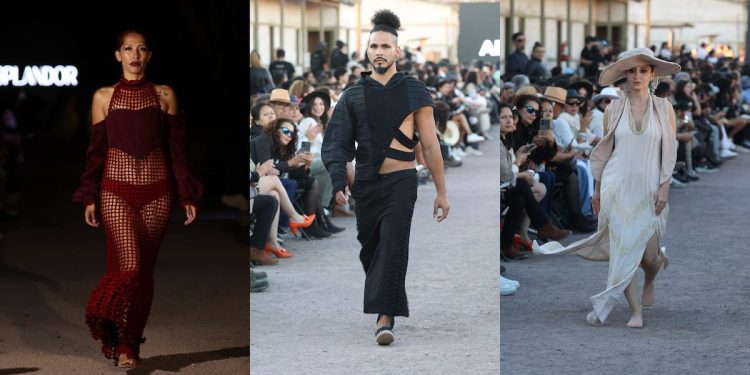 Cuatro colecciones regionales ganadoras en Pasarela de Humberstone