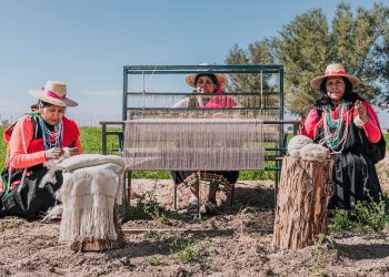 Cooperativas de artesanas textiles y productores de ovinos apoyadas por INDAP reciben Sello de Origen otorgado por INAPI