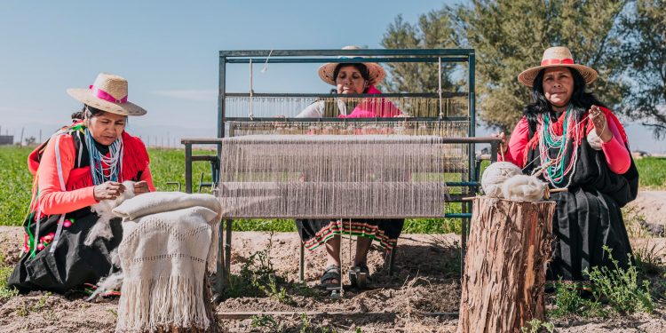 Cooperativas de artesanas textiles y productores de ovinos apoyadas por INDAP reciben Sello de Origen otorgado por INAPI