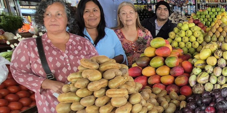 Ferias libres podrán acceder a subsidios de hasta $30 millones