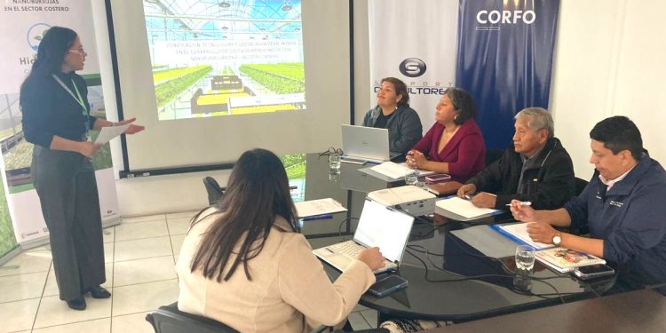 Crean gobernanza de proyecto de cultivos hidropónicos del sector costero