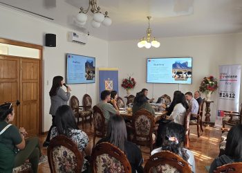 Conforman Mesa Directiva Comunal de Pica para la Prevención