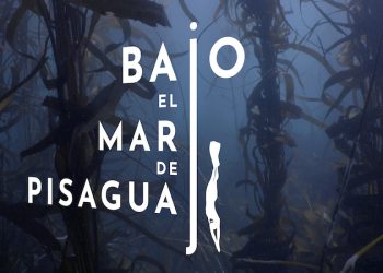 Mar de Pisagua se toma el Mes del Mar: estrenarán cortometraje filmado en la primera área marina protegida de Tarapacá