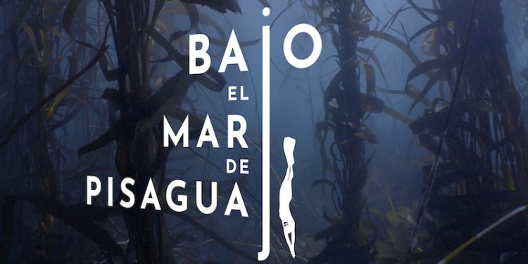 Mar de Pisagua se toma el Mes del Mar: estrenarán cortometraje filmado en la primera área marina protegida de Tarapacá