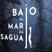 Mar de Pisagua se toma el Mes del Mar: estrenarán cortometraje filmado en la primera área marina protegida de Tarapacá
