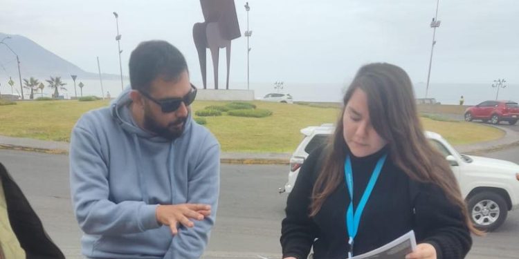 Xerojardinería lidera transformación verde en condominio Portal del Pacífico de Iquique con plantas nativas