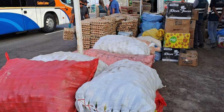 SAG Tarapacá: continúan las incautaciones de productos agropecuarios de alto riesgo