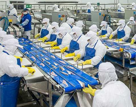 3 mil trabajadores perderán empleo; la mayoría mujeres