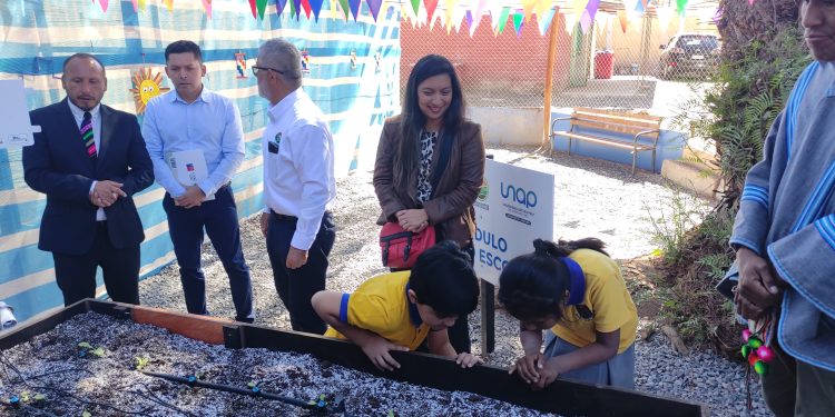 En La Tirana inauguraron los Huertos Escolares del proyecto LabAncestral