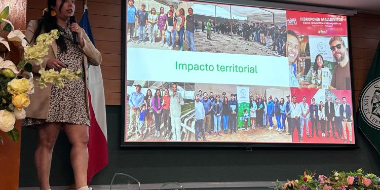 Hidroponía en el desierto cerró ciclo de charlas del proyecto “Arica emprende sustentable”