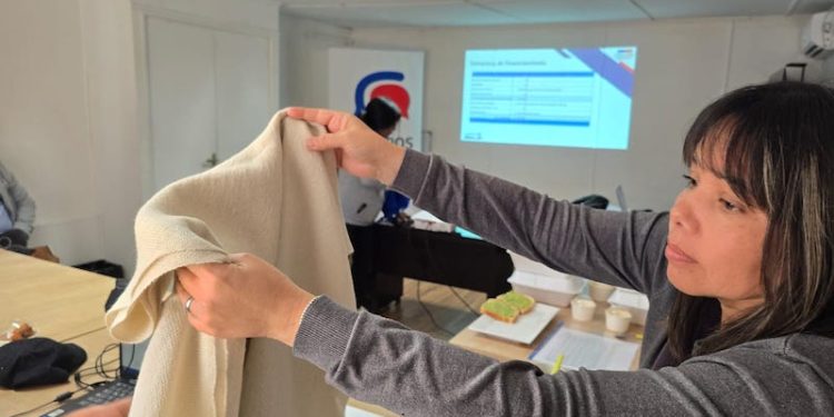 Sercotec Tarapacá destaca proyectos innovadores y sostenibles del Capital Semilla Emprende