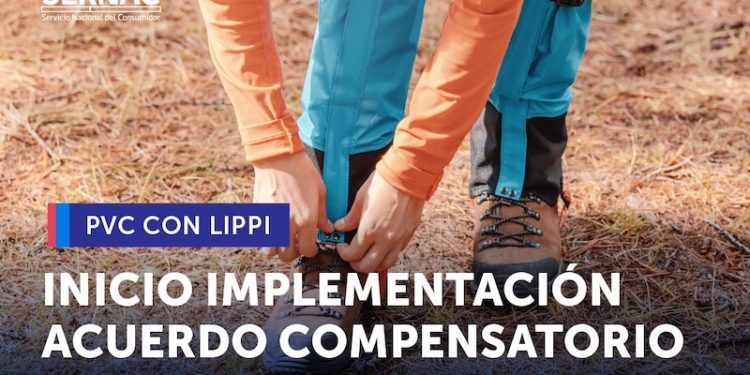 Cerca de 6 mil 300 consumidores beneficiados: Comienza implementación de acuerdo compensatorio con The Andes Brands (Lippi)