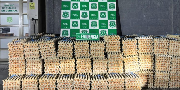 Carabineros de Alto Hospicio incautó más de 43 mil huevos