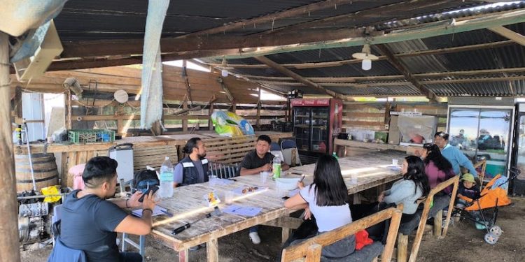 INDAP: «El desafío es generar una participación activa de los jóvenes agricultores»