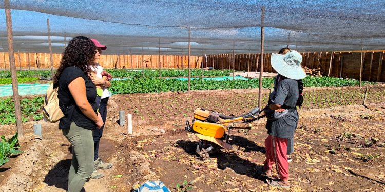 Equipo técnico INDAP – Prodemu valoran impacto positivo del Programa Mujeres Rurales en la región de Tarapacá