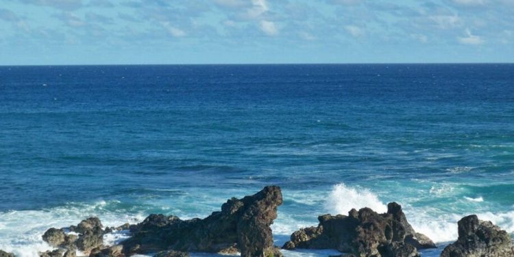 Día Mundial de los Océanos: Sostener lo que nos sustenta