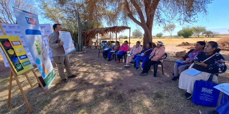 INDAP, SAG y Seremi de Salud promueven uso seguro de plaguicidas en agricultoras