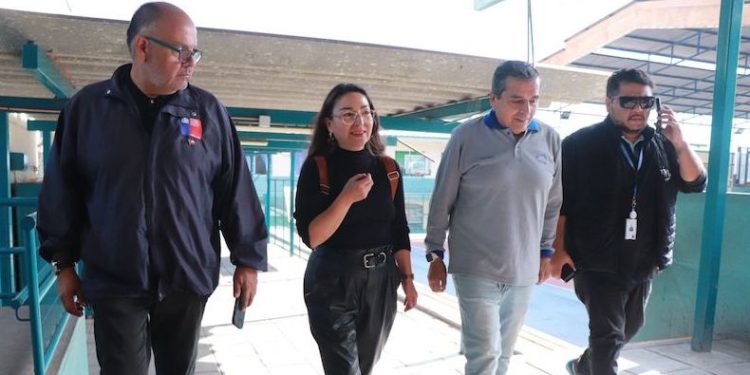 Habilitaron 4 escuelas como refugios temporales en Iquique y Pisagua