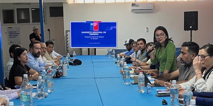 Delegada Presidencial lideró gabinete regional en La Tirana