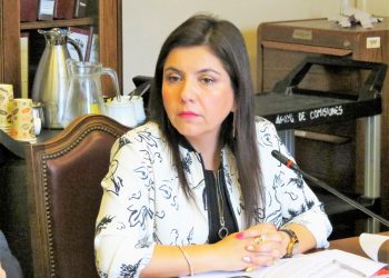 Comité Regional de Tarapacá del PS propuso a diputada Danisa Astudillo como candidata a senadora