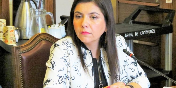 Comité Regional de Tarapacá del PS propuso a diputada Danisa Astudillo como candidata a senadora