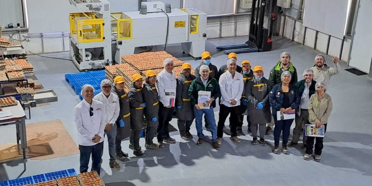 SAG Tarapacá y Gobierno Regional implementan innovador programa para prevenir la Influenza Aviar