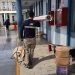 SLEP Iquique refuerza preparativos para el retorno a clases de más de 20 mil estudiantes