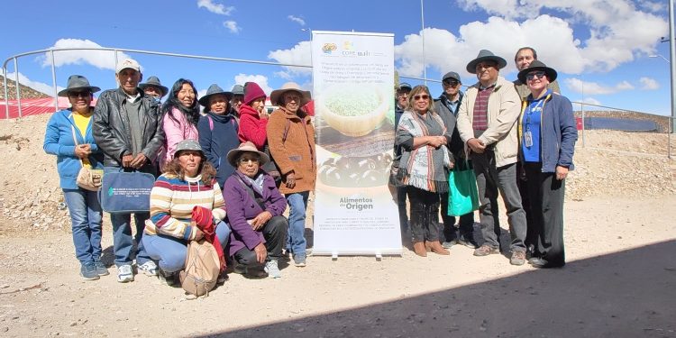 Con identidad y colaboración avanza el Sello de Origen del orégano precordillerano de Putre