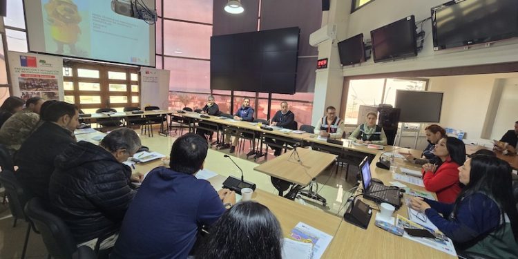 En casi un 80% bajan las hectáreas afectadas por incendios forestales en la Región de Tarapacá