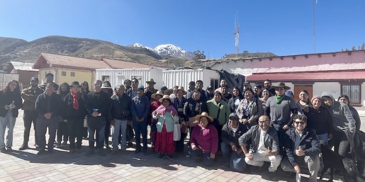 Programa de ganadería camélida cierra ciclo reforzando vínculo entre tradición y desarrollo sustentable