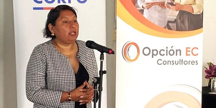 Empresas regionales analizaron desafíos y oportunidades en mercados de Brasil