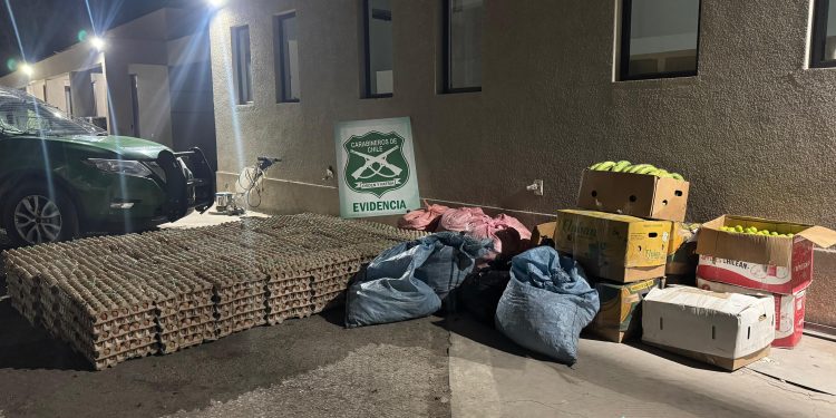 Carabineros detiene a infractor que transportaba productos ilegales en la Ruta 5 Norte