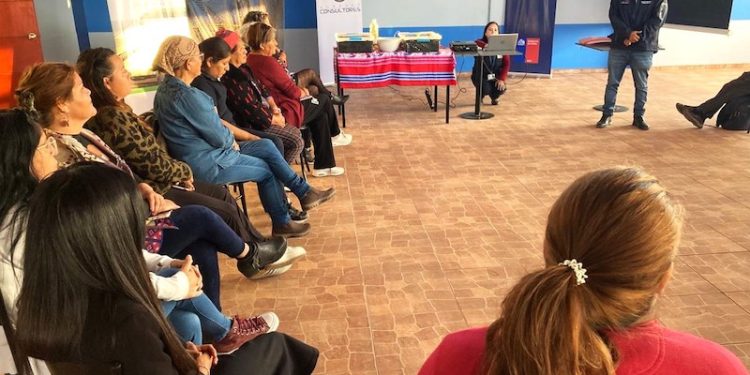 Vecinos de Chanavayita y Caramucho se capacitan en hidroponía con agua de mar