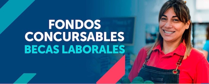 Más de 245 millones dispone Sence Tarapacá en sus Fondos Concursables 2025