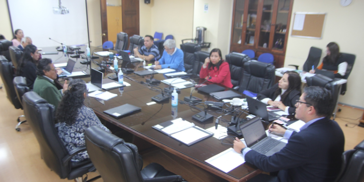 Comisión de Medio AMbiente del CORE acogió clamor de organizaciones que rechazan proyecto minero Champagne