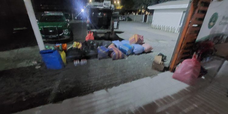Carabineros incauta más de 317 kilos de hojas de coca y detiene a mujer por Ley 20.000 y contrabando