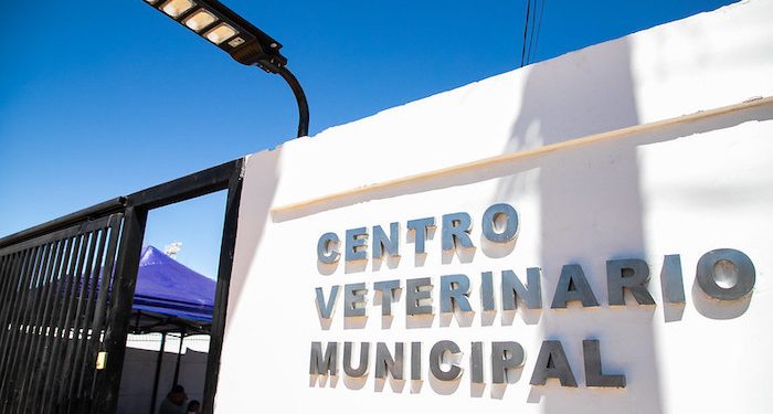 Con inversión Subdere construyen centro veterinario en Pica y espacios deportivos en Huara