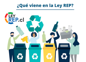 Más allá del cumplimiento de la Ley REP