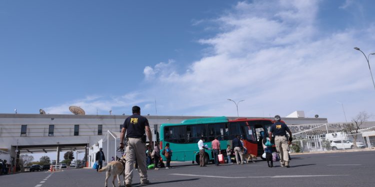 PDI detuvo a dos extranjeras portando más de 14 mil dosis de ketamina en Complejo Fronterizo Chacalluta