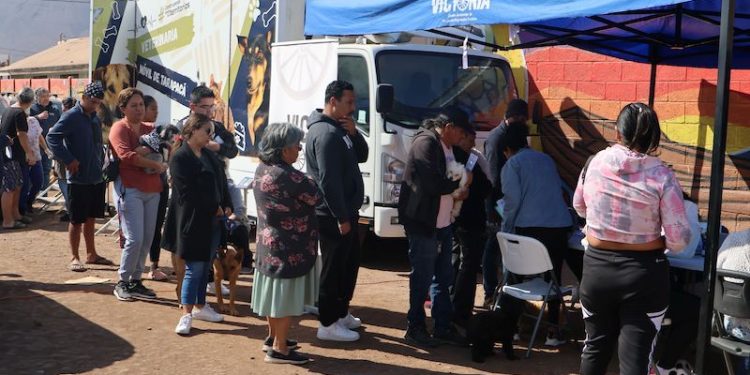 Clínica veterinaria móvil llegó hasta Chanavayita para atender a un centenar de mascotas