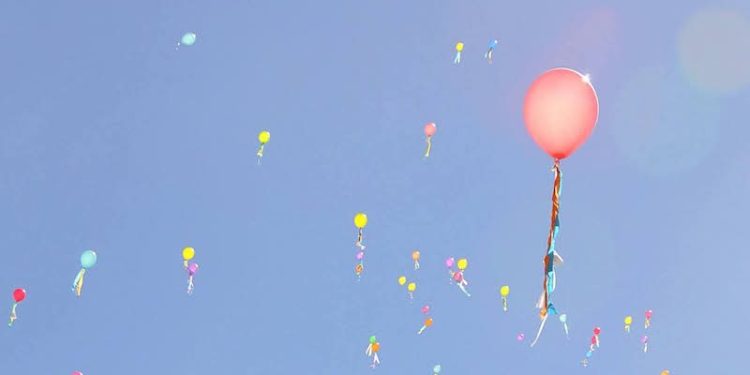 Almas del Norte, por Sonia Pereira Torrico