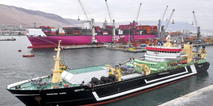 Puerto de Iquique recibe buque factoría en operación de actores mundiales relevantes