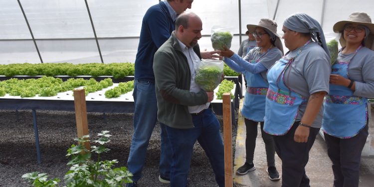 Comisión de cumplimiento de SQM conoció hidropónico del CCP Iquique