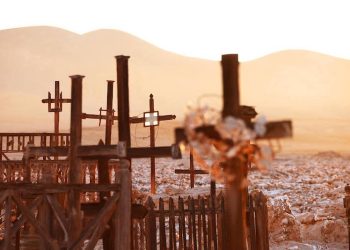 Sueños encendidos, por Sonia Pereira Torrico