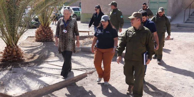 Autoridades se despliegan en Tarapacá por Fiesta de San Lorenzo