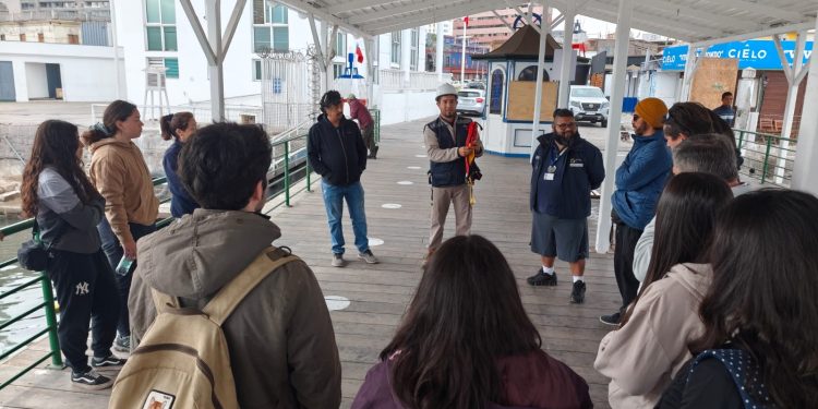 Sernapesca Tarapacá lideró taller sobre desenmalle de grandes cetáceos en Iquique