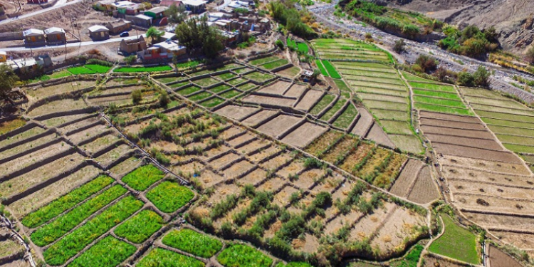 Tarapacá será sede del II Seminario Internacional sobre tecnología y saberes ancestrales