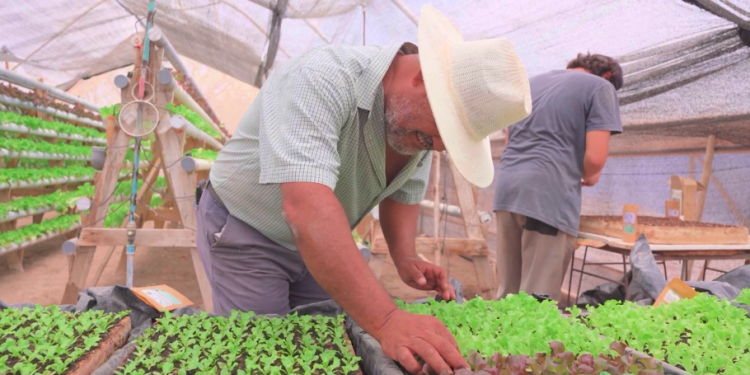 Corfo abrirá nuevas convocatorias para Pymes regionales