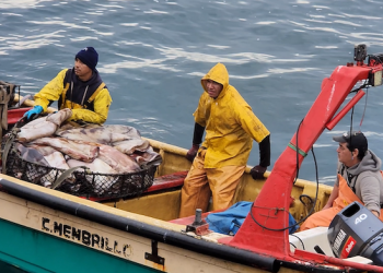 Indespa convoca a organizaciones del sector pesquero a fondo de capacitación y más